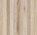 Biscuit