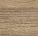 Sahara