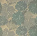 Admiral