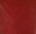 Rind-9