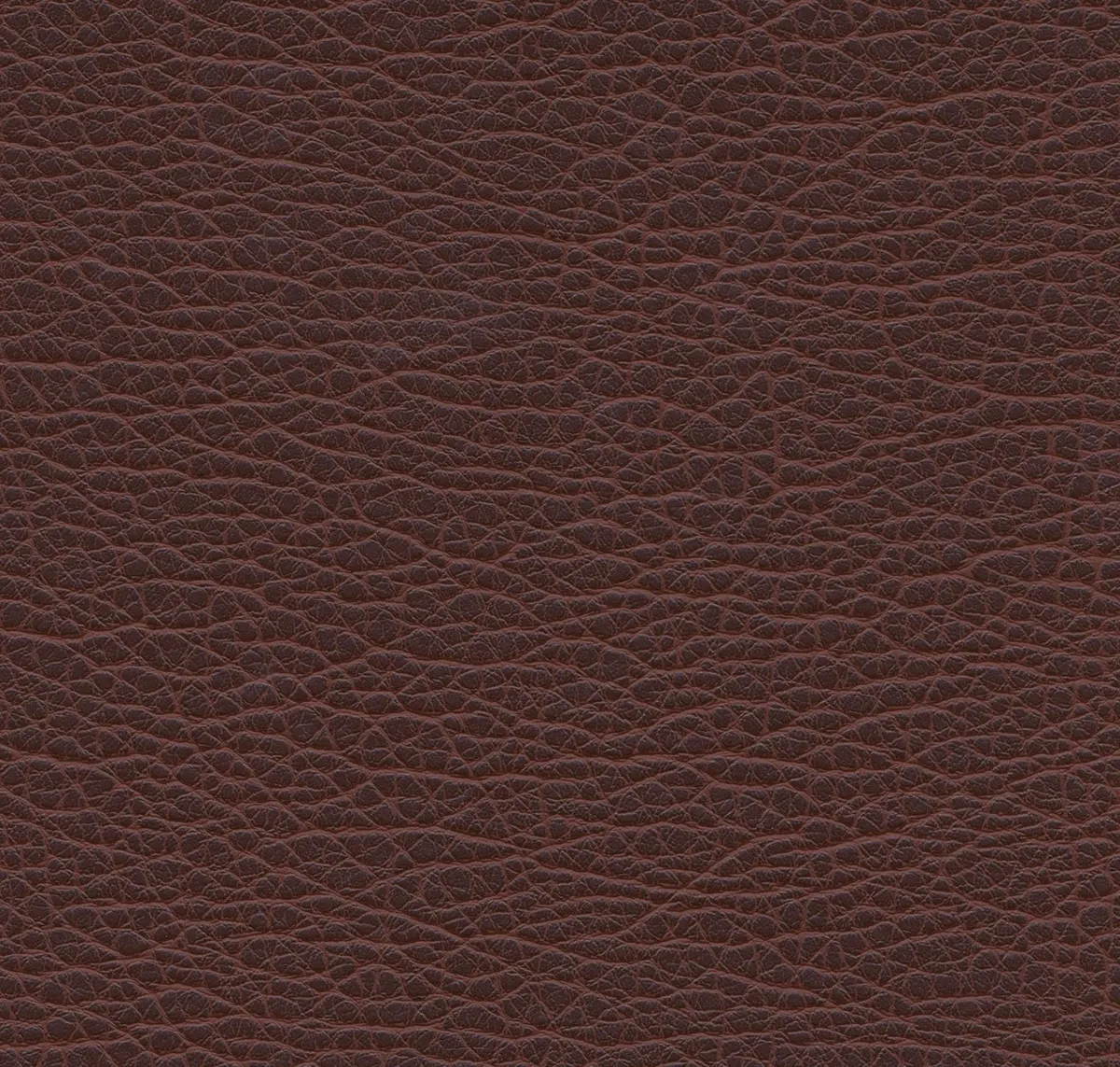 Main