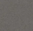 Warm Grey