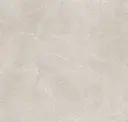 Topo