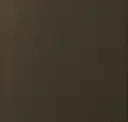 Medium Bronze