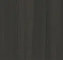 Charred Ash