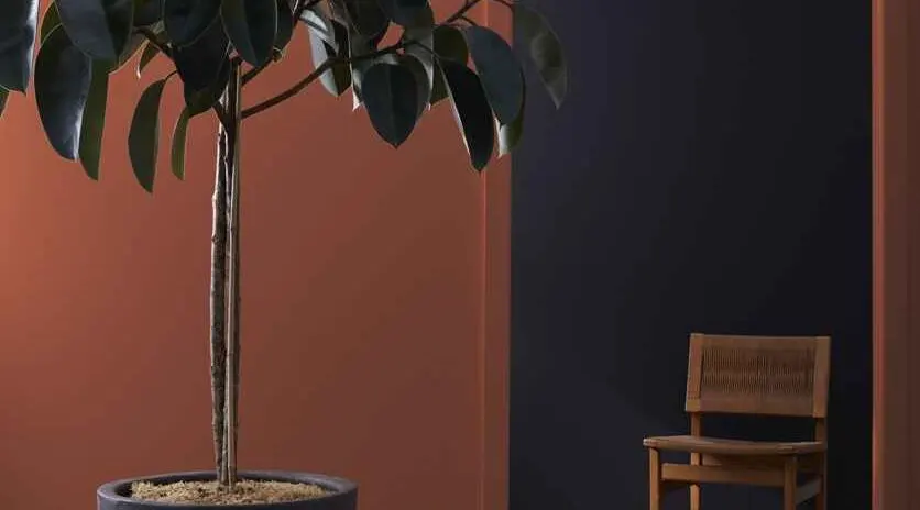 Install_01