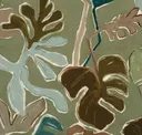 Paua