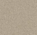 Biscuit