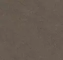 Mocha