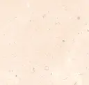 Bianco Di Asiago