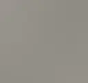 Warm Grey 50