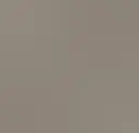 Warm Grey 60