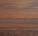 Vivid Exotic Brown