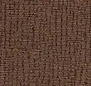 Chestnut