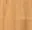 Main