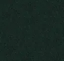 Eucalyptus