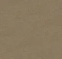 Bone