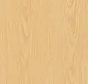 Boreal Birch