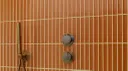 Terra Cotta