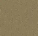 Herb