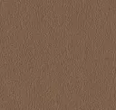 Mocha