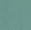 Seafoam