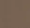 Cocoa