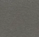 Cocoa
