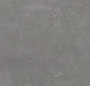 Iron