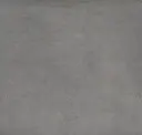 Iron