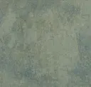 Blue Oyster