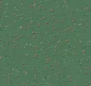 Parsley