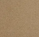 Chamois