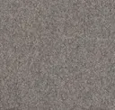 Dapple Grey