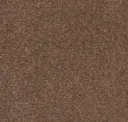 Camel Brown