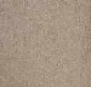 Sand Dune