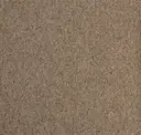 Hemp