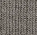Dapple Grey