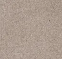 Sand Dune