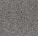 Dapple Grey