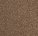 Camel Brown