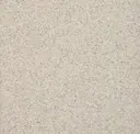 Snowy Owl