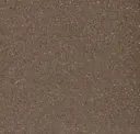 Bison