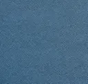 Blue Bird