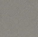 Iron Gray