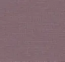 Eggplant