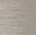Graceful Gray