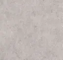 Cosmos