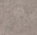 Meteorite