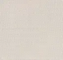 White/bone